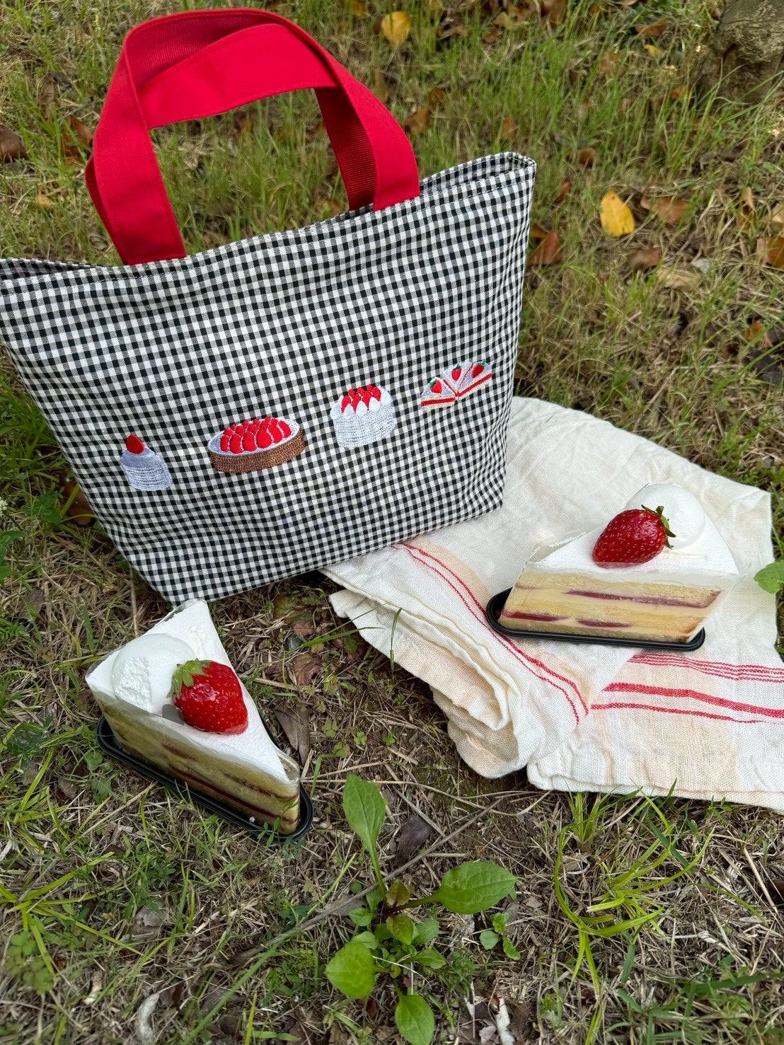 【Pre Order】🍰Strawberry Picnic Lunch Bag